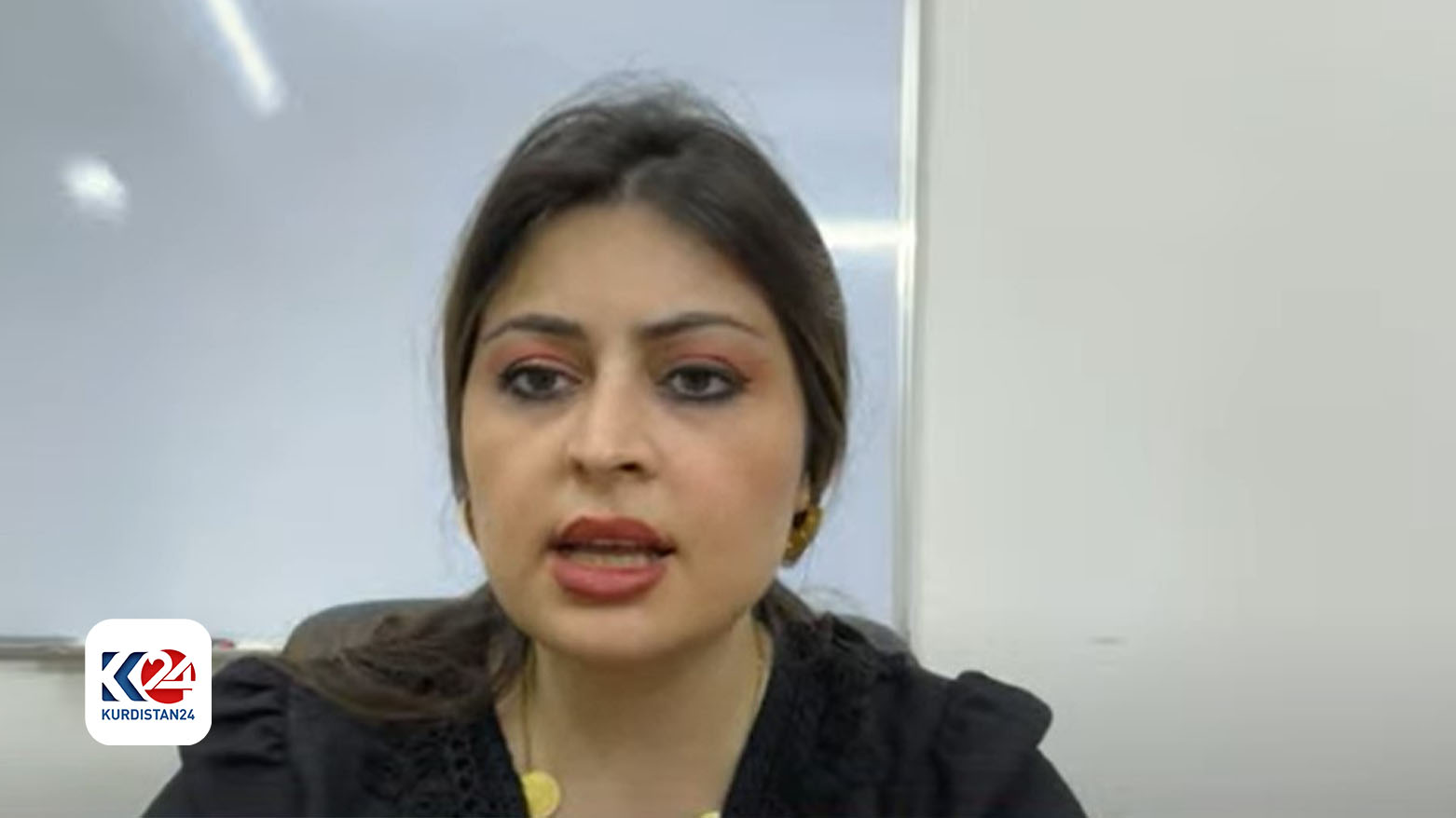 ئەنسام بەدری، چالاکوانی مەدەنی عێراقی ب